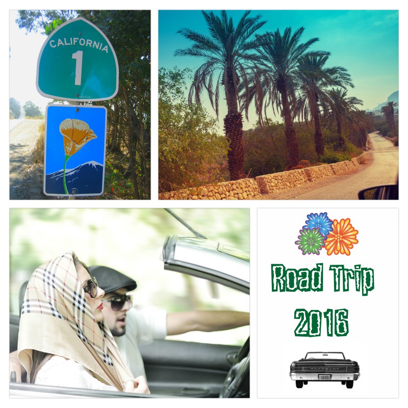 photo collage - road trip