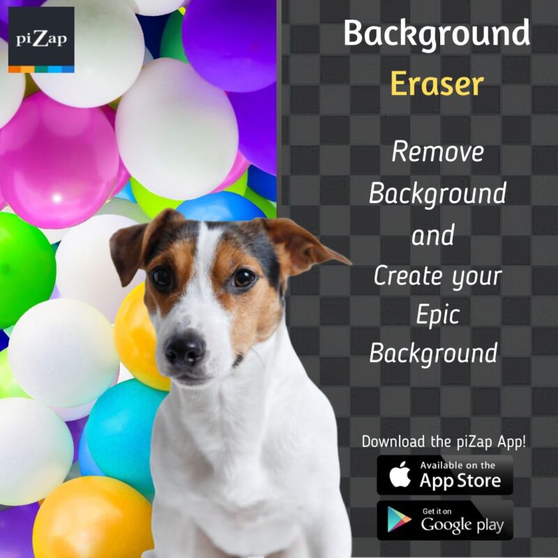 how-to-make-studying-more-fun-with-pizap-s-background-eraser-pizap-blog