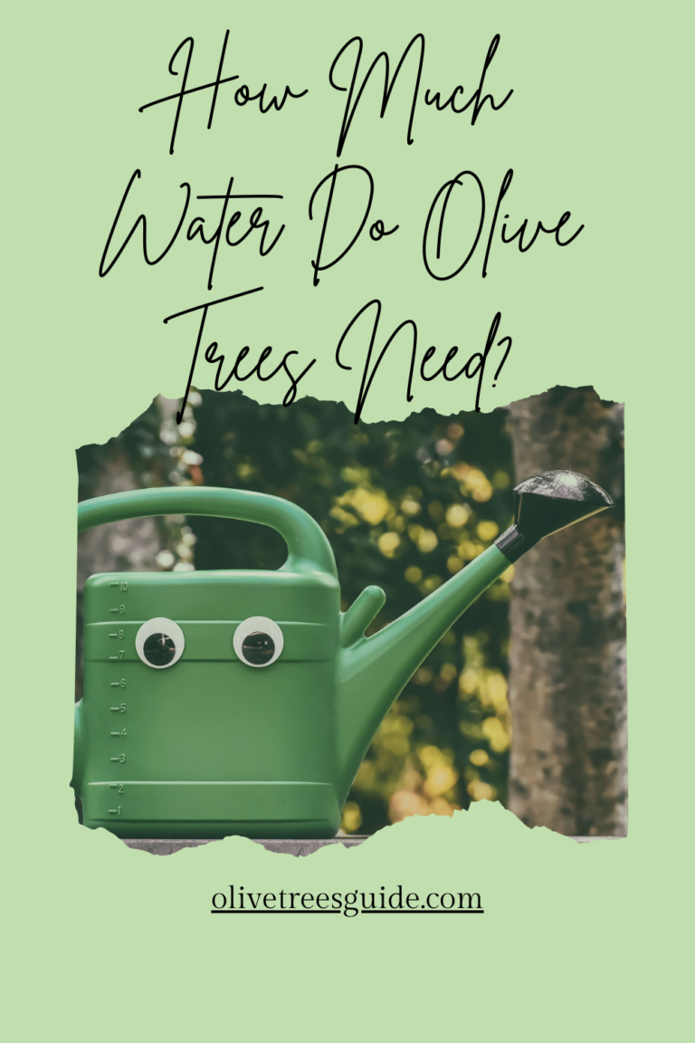 Ultimate Pinterest Image Dimensions Guide: Key Sizes, Samples ...